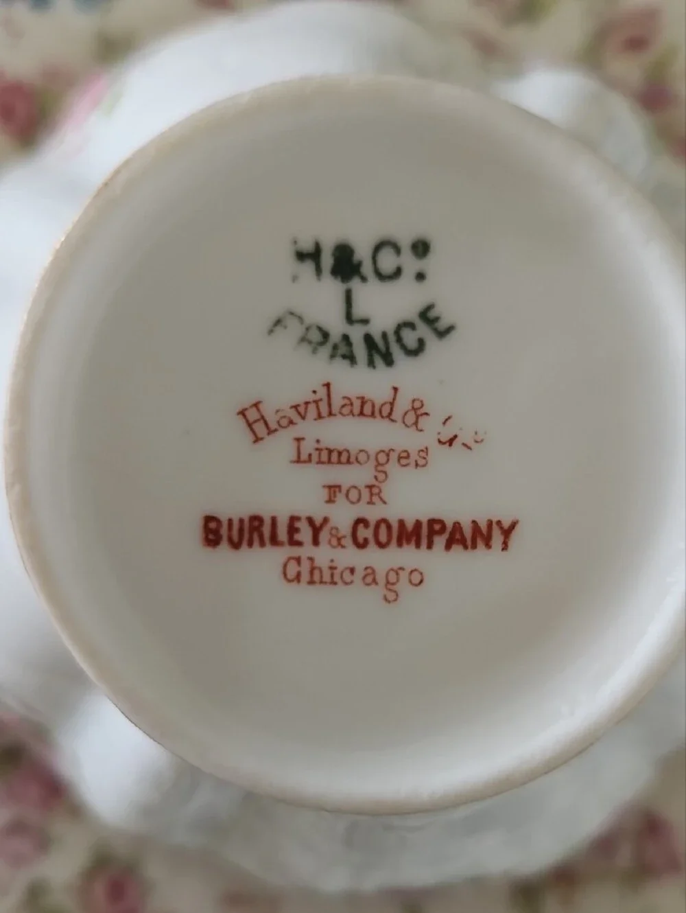 Antique Haviland Porcelain Teacup and Saucer